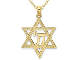Chai and Star of David Pendant Necklace Charm in 10K Yellow and White Gold with Chain